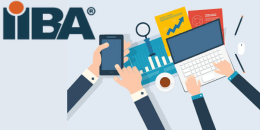 CBAP-CCBA - Certified Business Analysis (CBAP/CCBA) image